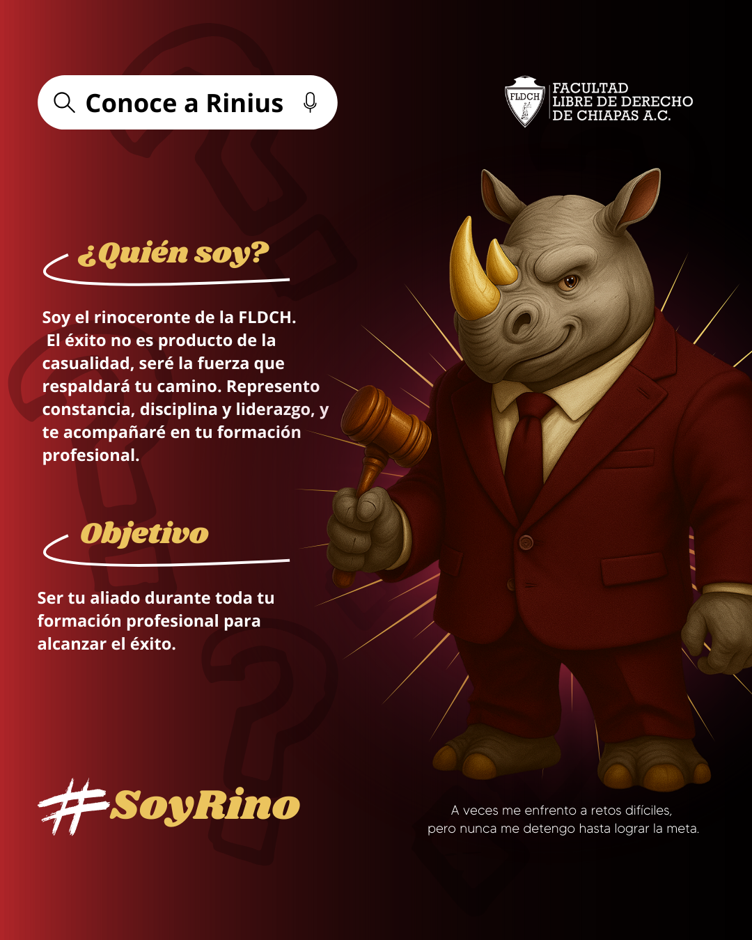 CONOCE A RINIUS