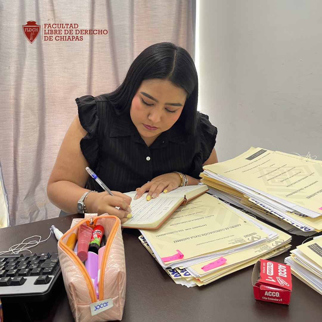 🎓 La experiencia desde el primer día ✨