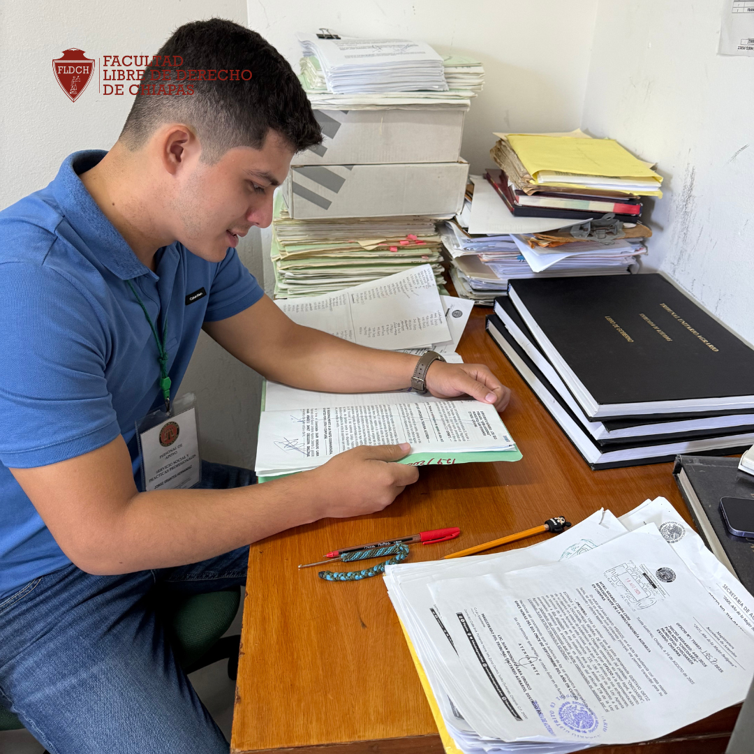 Practicas Profesionales