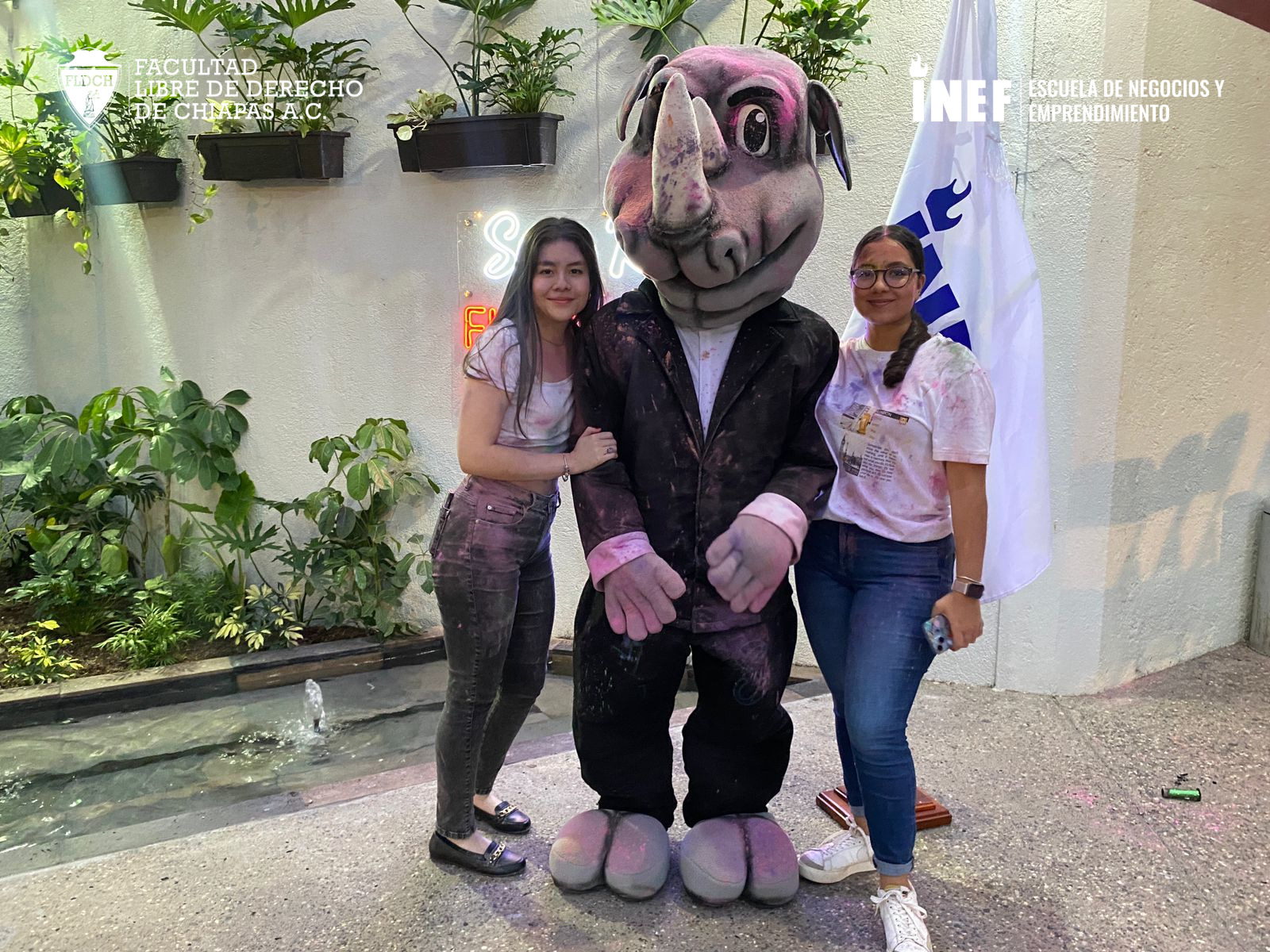 DIA RINO 2025